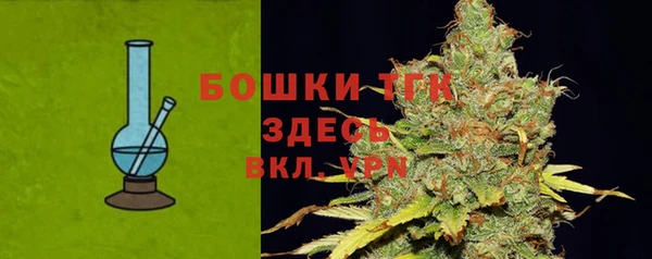 шишки Арсеньев
