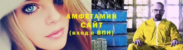 шишки Арсеньев