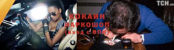 шишки Арсеньев