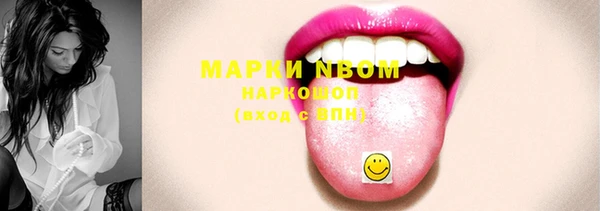 шишки Арсеньев