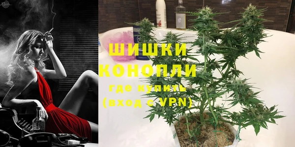 шишки Арсеньев