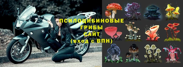 гашиш Аркадак