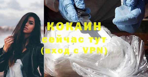 шишки Арсеньев