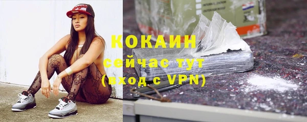 шишки Арсеньев