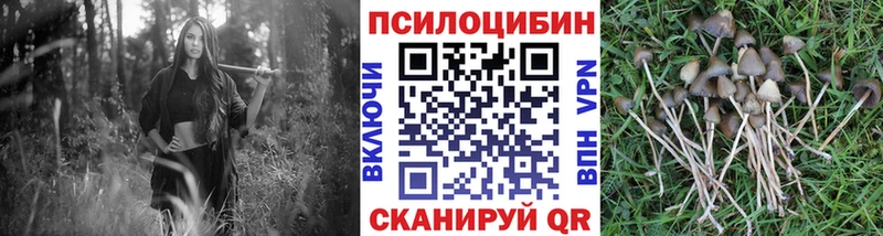 MEGA ССЫЛКА  наркота  Саяногорск  Псилоцибиновые грибы Psilocybine cubensis 